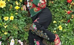 深航空姐艳照门